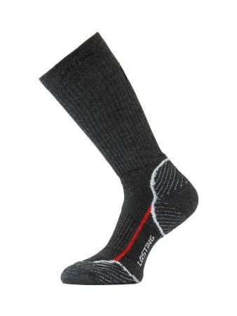 Носки Lasting TWB 800, wool+polypropylene, черный