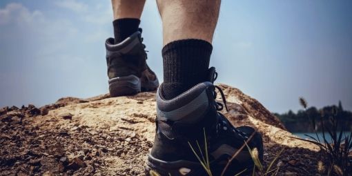 6 новинок от Lasting